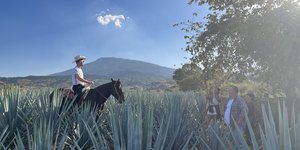 Τα τελευταία χρόνια, το tequila tourism – ο τουρισμός που σχετίζεται με την τεκίλα – έχει γνωρίσει σημαντική άνθιση, προσελκύοντας επισκέπτες από όλο τον κόσμο / FACEBOOK