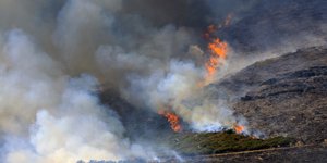 Φωτιά σε χαμηλή βλάστηση στην Αγιά Λάρισας