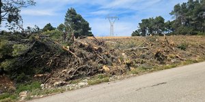 Ακαθαριστο οικόπεδο