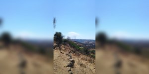 Φωτιά στην Αμαλιάδα