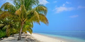 Οι 6 έφηβοι που ναυάγησαν και επέζησαν 15 μήνες σε ερημικό νησί