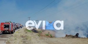 Εύβοια: Νέα αναζωπύρωση στον Πισσώνα
