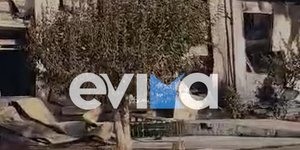 Κάηκα ολοσχερώς φάρμα με ζώα στην Εύβοια