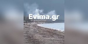 Εύβοια: Φωτιά στην παραλία Λουκισίων -Σηκώθηκαν και εναέρια μέσα