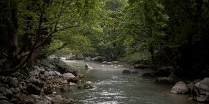 To φαράγγι Βίκου