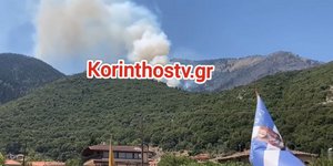 Φωτιά στην Λαύκα