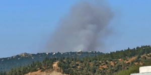 Εικόνα από τη φωτιά στο Φίλυρο Θεσσαλονίκης