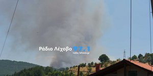 Φωτιά στο Βαρικό Φλώρινας