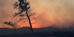 Καπνός και φωτιά στις Αφίδνες
