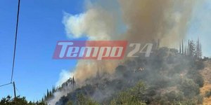 Αίγιο: Καλύτερη εικόνα παρουσιάζει η φωτιά στην περιοχή Νεραντζιές