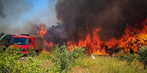 Φωτιά στον Κάμπο Αλιβερίου