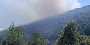Φωτιά σε δασική περιοχή στην Αιτωλοακαρνανία