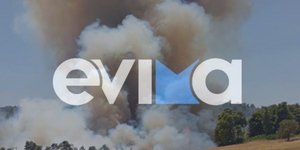 Φωτιά στον Πισσώνα Ψαχνών στην Εύβοια /