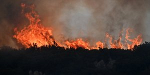 Μάχη με τις φλόγες στον Φενεό Κορινθίας