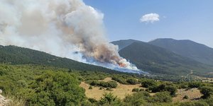 Φωτιά στον Φενεό Κορινθίας