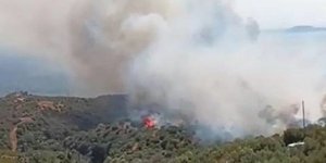 Φωτιά στο Λάχι Λακωνίας