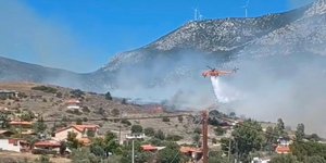 Φωτιά στη Βοιωτία / Πυρκαγιά Ενημέρωση
