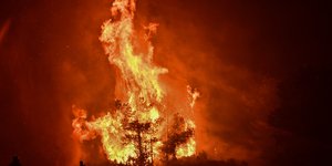 Πύρινη λαίλαπα στον Ωρωπό