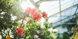 Φωτογραφία Unsplash