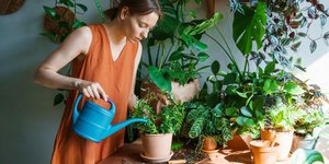 Φωτογραφία: Shutterstock