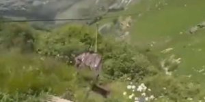 γαϊδούρι