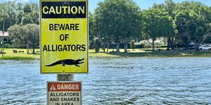 Ταμπέλα προσοχή αλιγάτορες στη Φλόριντα