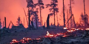 Η πυρκαγιά που μαίνεται στη Θουριγγία της ανατολικής Γερμανίας