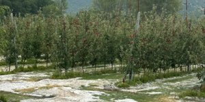 Χαλάζι σε καλλιέργειες της Καστοριάς
