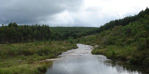 Τεχνητή νοημοσύνη και πρόγνωση καιρού: Ο Ρέμι Λαμ, ένας από τους 10 επιστήμονες που διαμόρφωσαν την επιστήμη το 2024