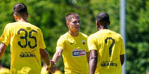 Καλοσκάμης 