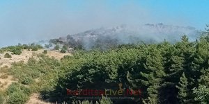 Φωτιά στο Καλλίθηρο Καρδίτσας