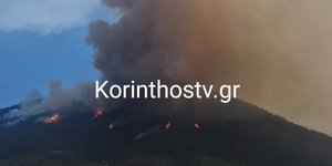 Φωτιά στο Μαυροβούνι Φενεού
