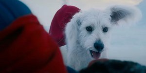 Ο σκύλος Krypto από τη νέα ταινία Superman