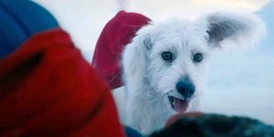 Ο σκύλος Krypto από τη νέα ταινία Superman