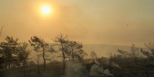 Η φωτιά στην Κύπρο προκάλεσε μεγάλη καταστροφή και πόνο στους κατοίκους