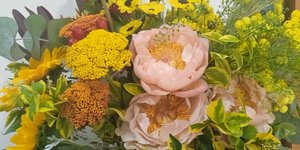  Ανθοπωλεία: Ξεχάστε τα εισαγόμενα τριαντάφυλλα λένε ερευνητές: Βάλτε ελληνικά αγριολούλουδα με αδειοδοτημένες καλλιέργειες