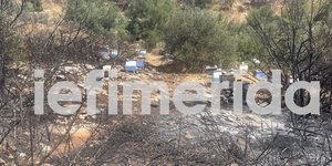 Μελίσσια στον Υμηττό