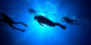 Η ελεύθερη κατάδυση χωρίς εξοπλισμό δεν είναι μόνο μία μάχη ενάντια στα όρια του σώματος, αλλά και μία διαδρομή προς την κατανόηση της ίδιας της φύσης μας / SHUTTERSTOCK