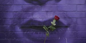 Ένα λουλούδι στο στόμα του Όζι Όζμπορν, σε γκραφίτι στην Αγγλία
