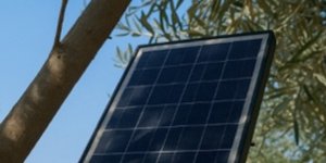 Έξυπνη παγίδα δάκου με Τεχνητή Νοημοσύνη από την Bi2S