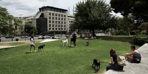 Αθηναίοι με τα σκυλάκια τους σε πάρκο της Αθήνας
