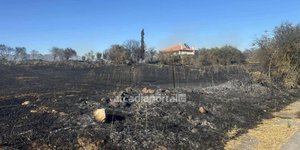 Καμένες εκτάσεις κοντά σε σπίτια άφησε πίσω της η φωτιά στον Άγιο Σώστη Αρκαδίας