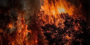 Rafina fire