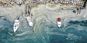Πολλές περιοχές κοντά στις ακτές, όπως στο Καντίκιοϊ, το Μπεσίκτας και το Σαρίγερ, έχουν δει τα νερά να αποκτούν πρασινωπή ή καφετί απόχρωση / GETTY