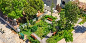 Πράσινο στον Δήμο Αθηναίων