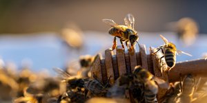 Φωτογραφία: shutterstock