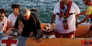 Σκύλος ναυαγοσώστης 