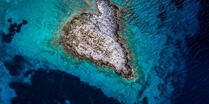 Η WWF Ελλάς χαρακτήρισε σημαντική πρωτοβουλία της κυβέρνησης τα νέα θαλάσσια πάρκα / Φωτογραφία: WWF