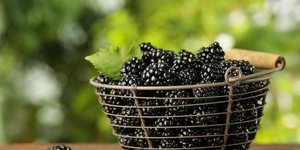 Ξεκούραση σε μία μπουκιά: Το superfood που διώχνει την κόπωση το καλοκαίρι