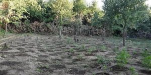 Χασισοφυτεία Άρτα